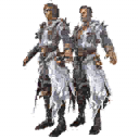 Silver Guru